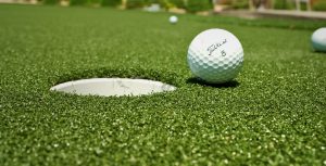 Gallery | Top Quality Artificial Grass Products | Easylawn Artificial Grass