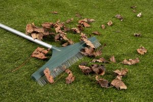 FAQ's | Artificial Grass Products | Easylawn Artificial Grass